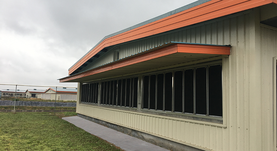 改造后的上海祥欣公豬站外側(cè)擋沙網(wǎng)過濾墻。