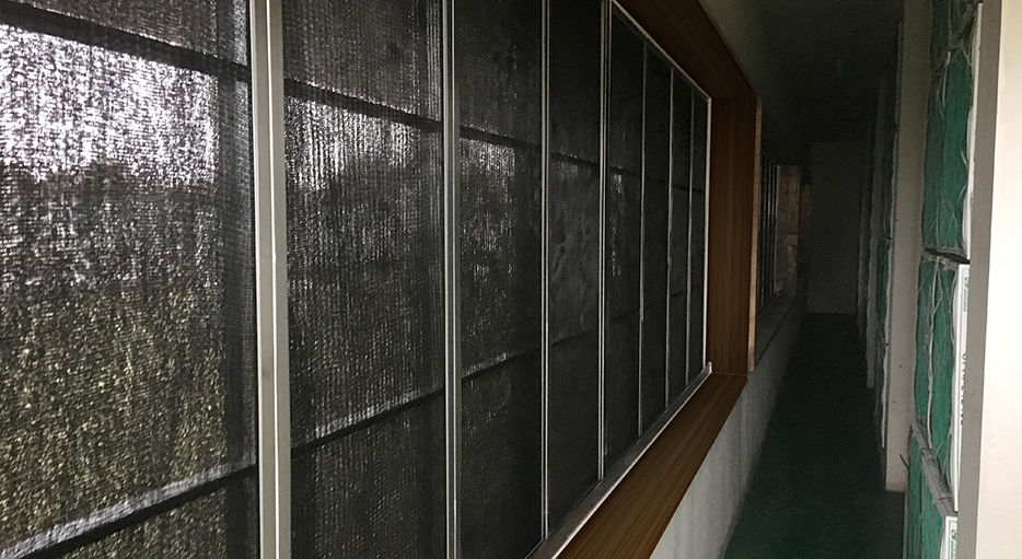 擋沙網(wǎng)過濾墻內(nèi)側(cè)。