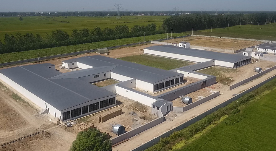 鳥瞰建設中的灌云公豬站Antibio系統。