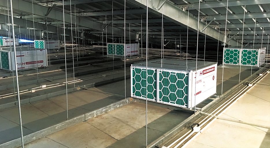 河北楊武頭項目Antibio養(yǎng)豬場空氣過濾系統(tǒng)頂端入風(fēng)。